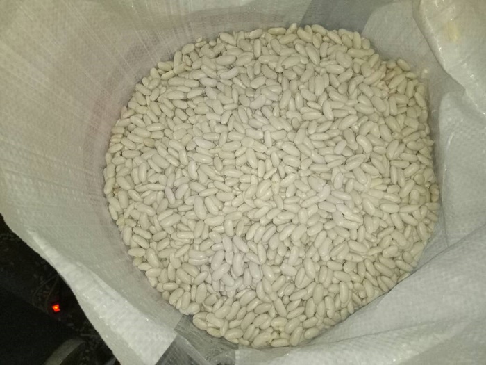 39264 - Offer White beans Egypt