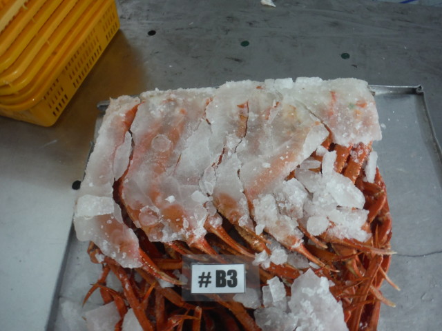 48177 - CRAB Korea