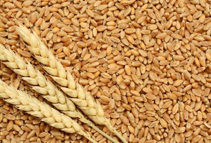 51740 - Wheat offer Europe